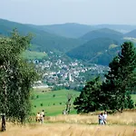 Gaensebluemchen Lägenhet Willingen (Upland)