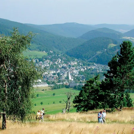 Gaensebluemchen - Klein Aber Fein - Mit Skywalkblick Apartment Willingen (Upland)