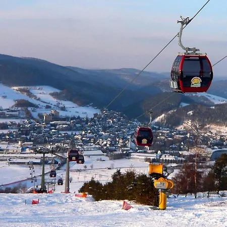 Gaensebluemchen Willingen (Upland)