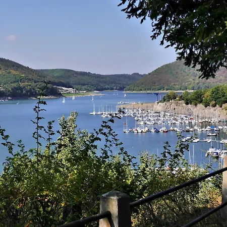 Gaensebluemchen Willingen (Upland)