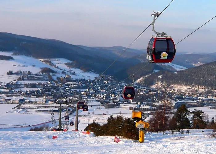 Gaensebluemchen Willingen (Upland)