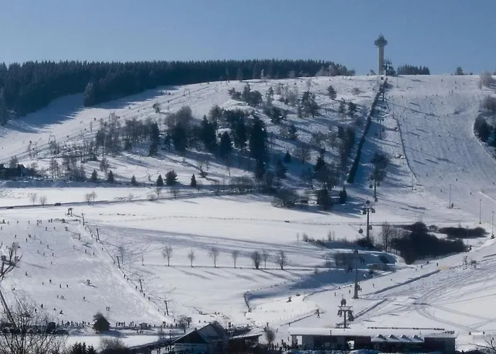 Gaensebluemchen Apartment Willingen (Upland)