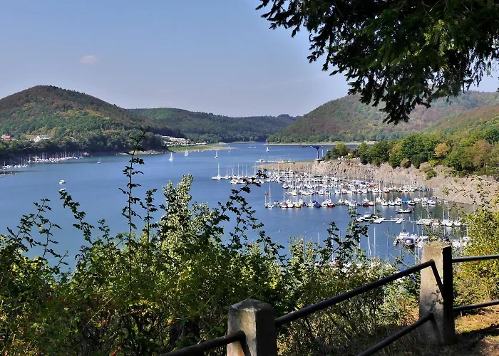 Gaensebluemchen Willingen (Upland)